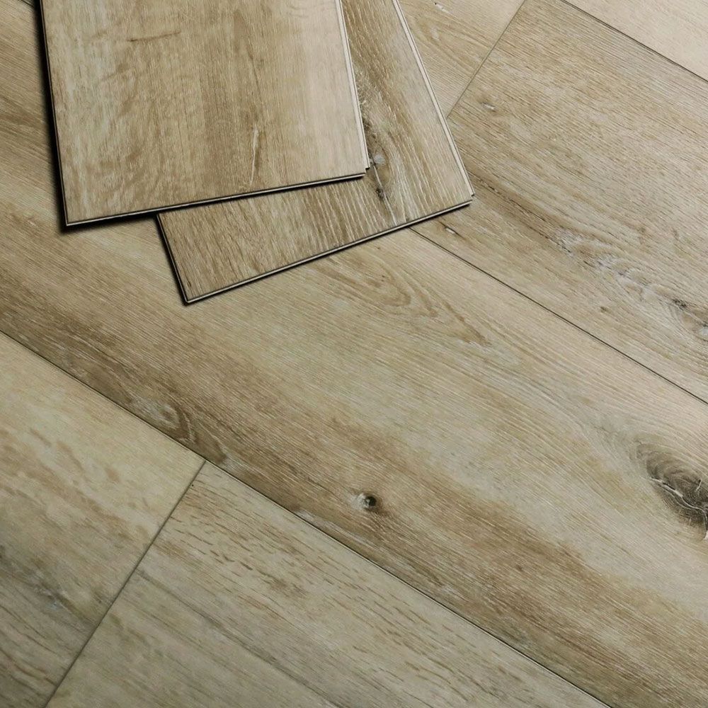 PR208 Дуб Саланген (Oak Salangen)