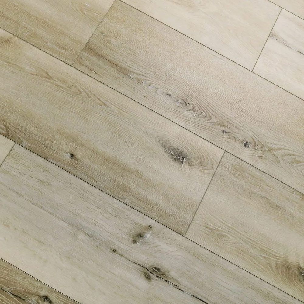 PR208 Дуб Саланген (Oak Salangen)